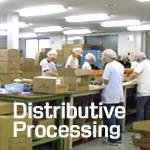 Distributive Processing