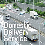 Domestic Delivery service